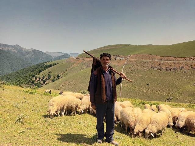 بیمه روستاییان و عشایر