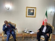 Tehran ready to help D-8 countries reach joint objectives: Econ Dep FM