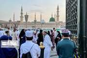 Hajj 2022 ; les pèlerins à Médine