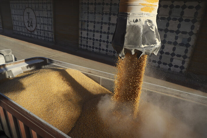 ثبت رکوردهای جدید در کشاورزی قزوین، حاصل برنامه ریزی دولت سیزدهم