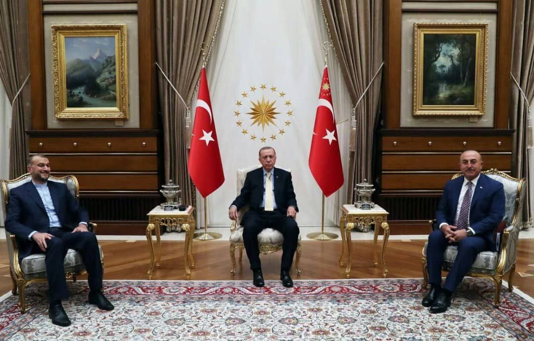 Amir Abdolahian y Erdogan se reúnen en Ankara