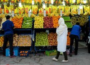 سالانه ۶۰۰ هزار تن میوه در سیستان و بلوچستان تولید می‌شود