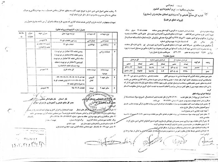 ماجرای قطع درختان در جنگل بونده محمودآباد چه بود؟