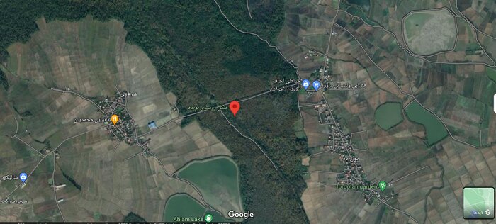 ماجرای قطع درختان در جنگل بونده محمودآباد چه بود؟