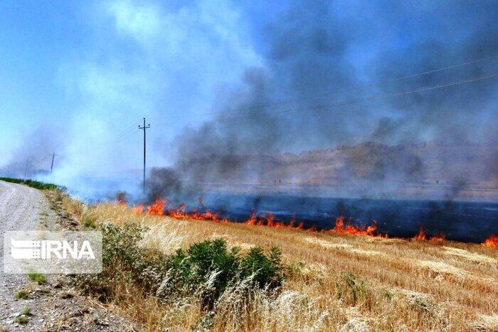 ۹ هکتار زمین کشاورزی و ۲۲ انبار کاه در دالاهو طعمه حریق شد