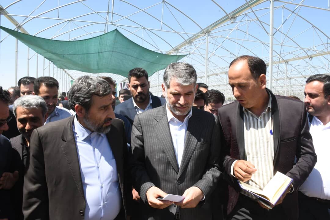 وزیر جهاد کشاورزی از شهرک گلخانه‌ای ملکان بازدید کرد