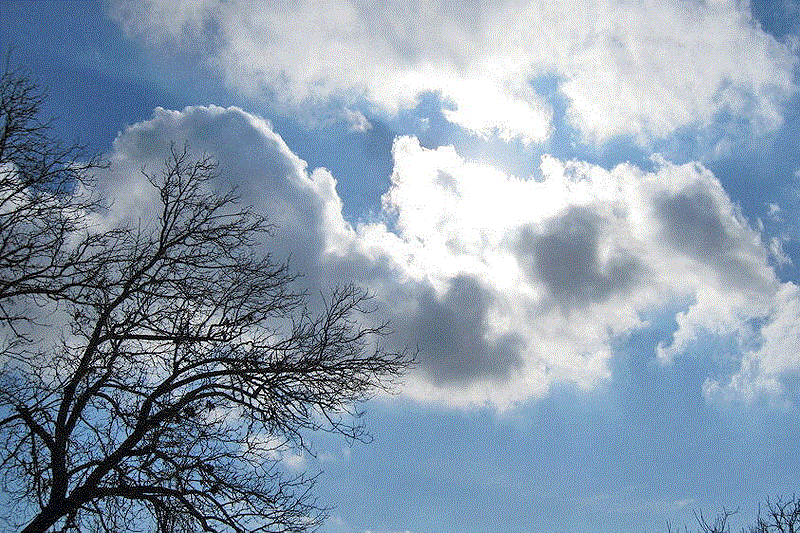 هوای تهران خنکتر میشود؛ تکرار پدیده گردوخاک