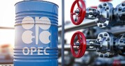La OPEP: Los ingresos petrolíferos de Irán superaron los 25 mil millones de $ el año pasado