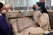 Japanese mother of Iranian martyr passes away