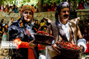 Celebrado el Festival de la Fresa en el oeste de Irán