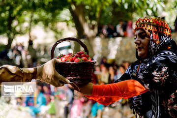 Iran : Festival de la fraise de Shiyan à l’ouest