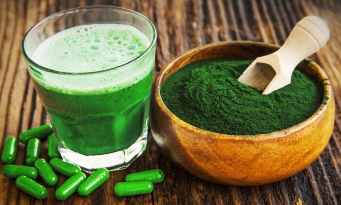 ثروت و اشتغال آفرینی جلبک، ضرورت تسریع در تکمیل زیرساختها