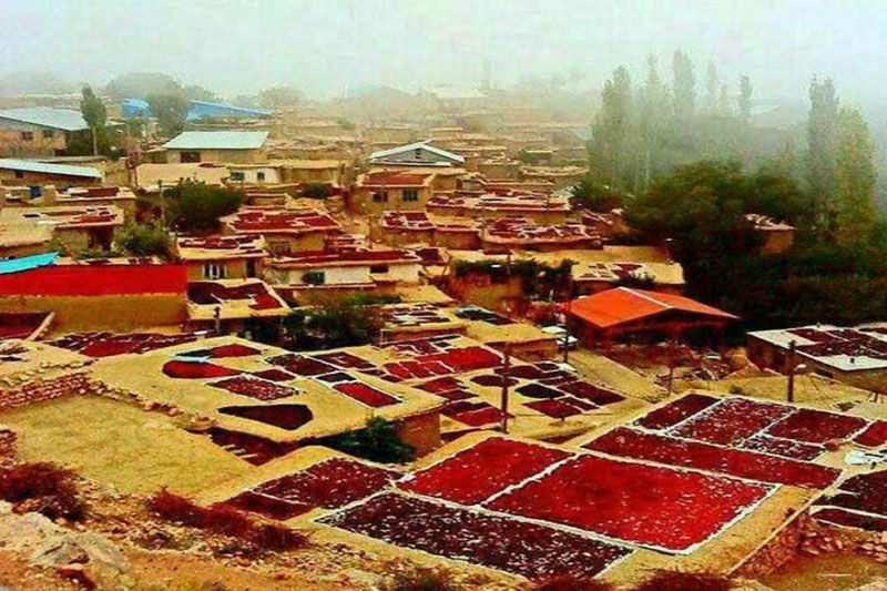 جای خالی گردشگری تخصصی در قزوین