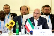 ایران علاقائی تعلقات کی مضبوطی کا خواہاں ہے