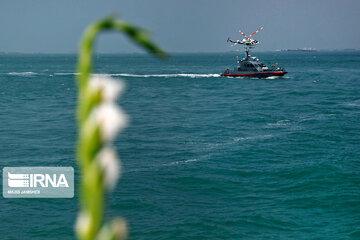 Flower-laying ceremony of martyrdom site of Iran flight passengers in Persian Gulf