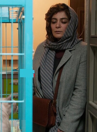 داشتن ۳ نویسنده برای یک اثر تصویری خوب است یا بد؟ نگاهی به ۱۱ اثر