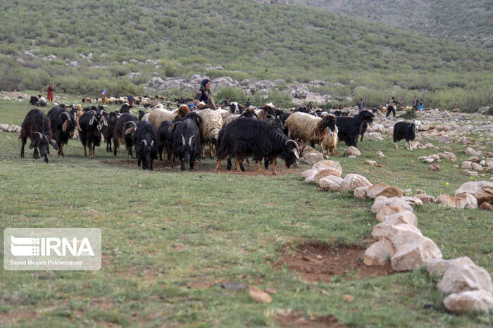 افتتاح و کلنگزنی ۸ طرح/ گام بلند دولت برای توسعه کشاورزی خراسان شمالی