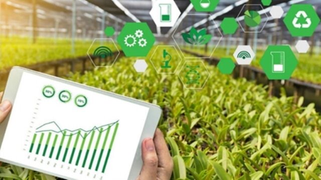 ۱۰ درصد شرکتهای دانش بنیان بازار تعریف شده دارند