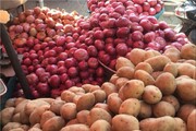 کاهش عرضه علت افزایش قیمت سیب‌زمینی و پیاز در مشهد است 