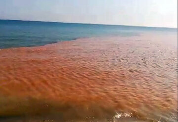 معمای بی‌پاسخ  گل‌آلود شدن آب دریای مازندران در سواحل نوشهر و چالوس+فیلم