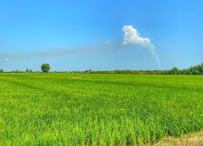 کاهش مازوتسوزی در نیروگاه نکا / دو واحد بخار گازسوز شد