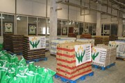 توزیع ۱۱ هزار و ۵۰۰ بسته معیشتی بین نیازمندان گلستان آغاز شد