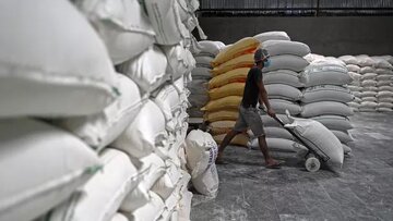 هند پس از گندم، صادرات آرد را محدود می‌کند