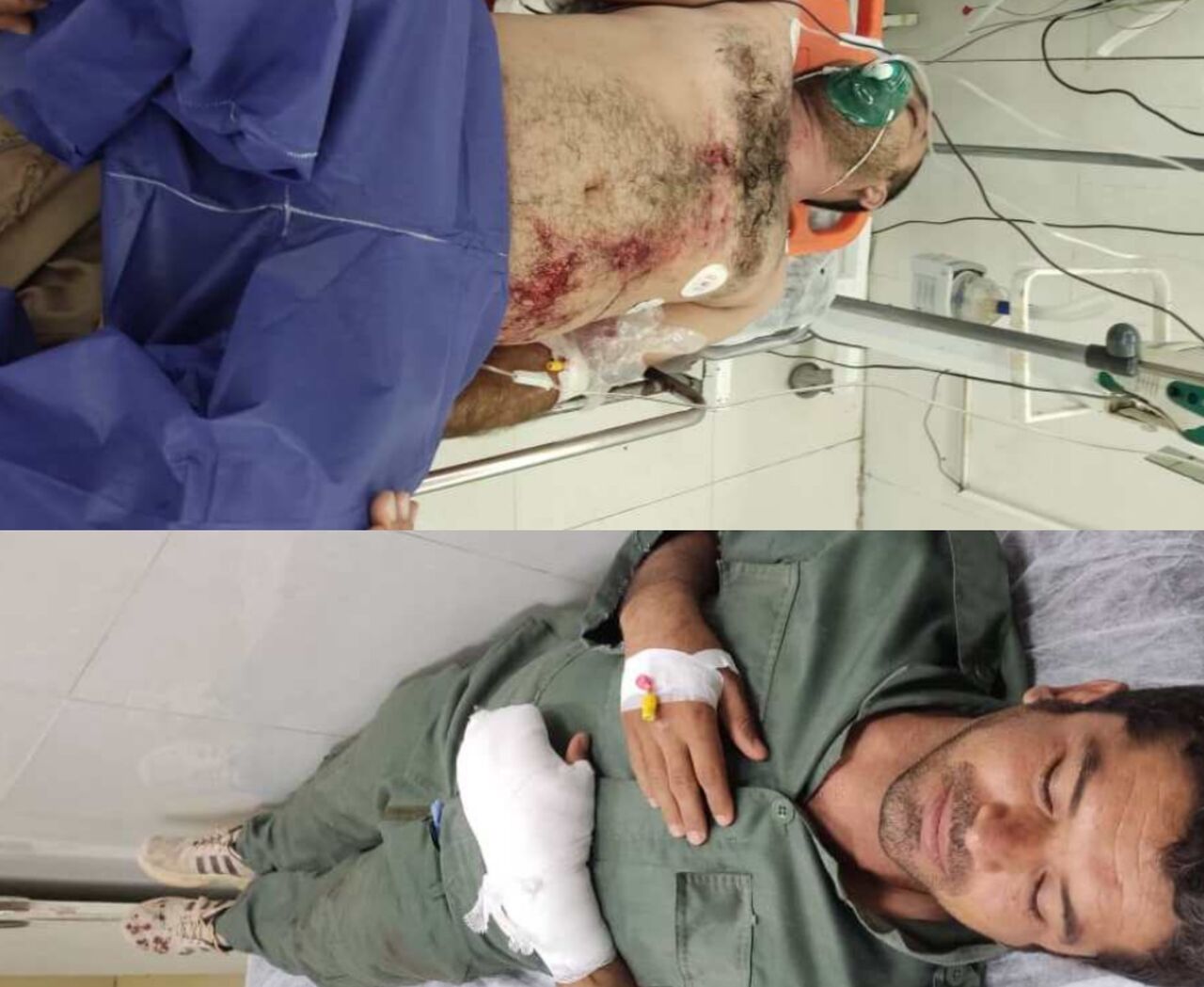 فرماندار دیر: تلاش برای دستگیری ضارب محیطبانان این شهرستان ادامه دارد