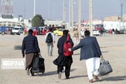 Official says Afghan immigrants’ return ups