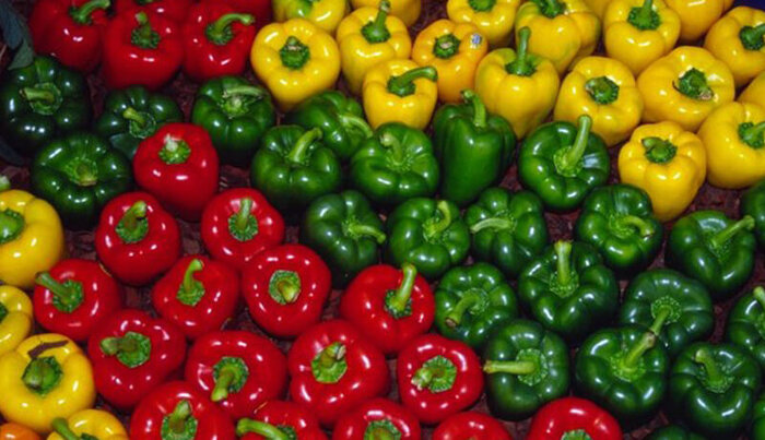 بررسی تهدیدات صادرات محصولات کشاورزی کشور