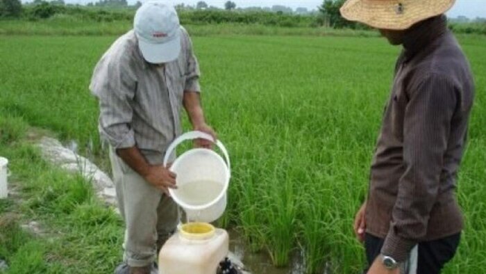 حفظ استانداردها در آفتکشها و سموم ضامن سلامت محصولات کشاورزی