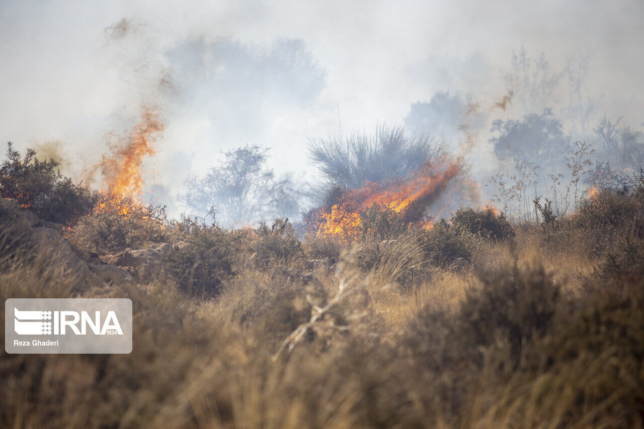 بی احتیاطی  عامل۹۰ درصد آتش سوزی جنگل و مراتع  در اصفهان است