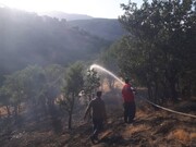 آتش سوزی در بیش از ۲ هکتار از جنگل‌های سردشت مهار شد
