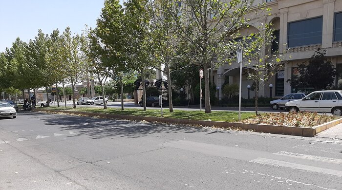 رنگ رخسار درختان قزوین خبر میدهد از سرّ درون