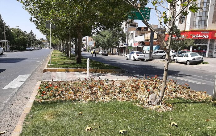 رنگ رخسار درختان قزوین خبر میدهد از سرّ درون