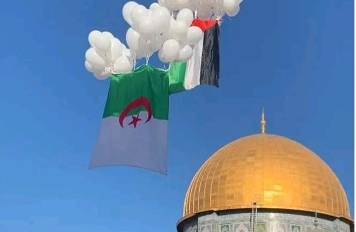 خطیب الجزایر: شادی استقلال کشور ما با پیروزی فلسطین تکمیل می‌شود