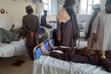 ترس از وقوع یک فاجعه در افغانستان/ وبا در هلمند جان ۲۰ نفر را گرفت