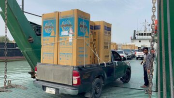 بزرگترین محموله کمک های مردم جزیره قشم به منطقه زلزله زده سایه خوش ارسال شد
