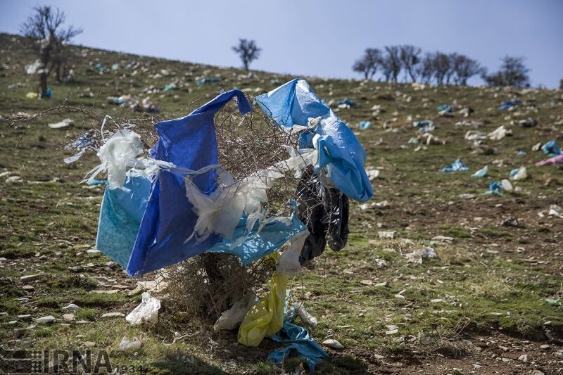 گره کور کاهش استفاده از کیسه‌های پلاستیکی از زندگی مردم