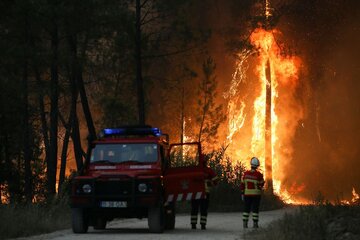 افزایش بی سابقه دمای هوا در اروپا / جنگل‌ها در آتش سوختند
