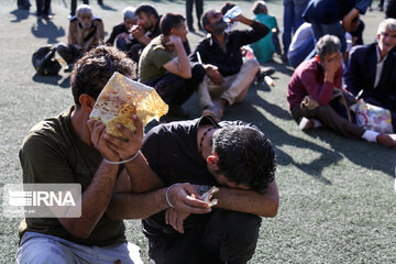 معاون دادستان: ۳۳۷ معتاد متجاهر در پاکسازی بوستان‌های قم دستگیر شدند 