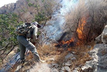 ۱۶۰ نیروی تازه نفس برای مهار آتش منطقه حفاظت شده خامی اعزام شدند