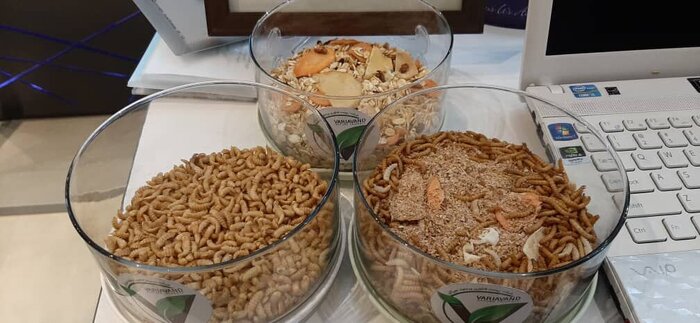 کهگیلویه و بویراحمد پیشقدم در اجرای دوره هایی از جنس دانش بنیان