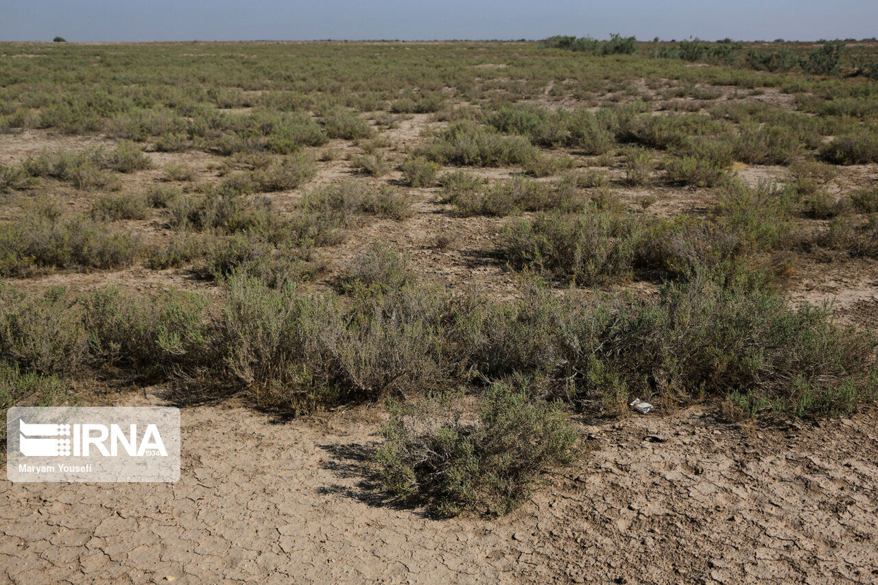 واقعیت طوفانهای نمکی دریاچه ارومیه / اقدامات پیشگیرانه از قُرق فیزیکی حریم دریاچه تا کاهش سطح شورهزارها واقعیت طوفانهای نمکی دریاچه ارومیه / اقدامات پیشگیرانه از قُرق فیزیکی حریم دریاچه تا کاهش سطح شورهزارها