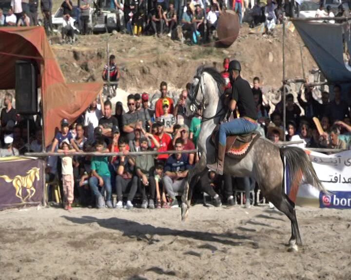 جشنواره کشوری شو سواره در مشگین‌شهر برگزار شد