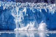 نتایج سفر گروه اکتشافی به قطب شمال: زمین با سرعت زیادی در حال گرم‌شدن است