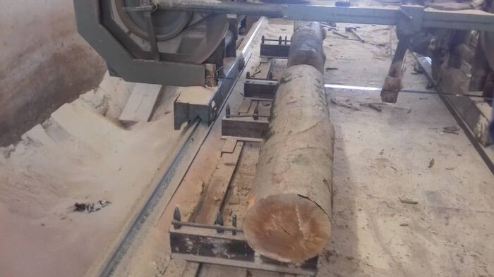 ۵۰۰ کیلوگرم چوب قاچاق در ملایر کشف و ضبط شد