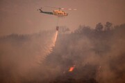 موج بی‌سابقه گرما در اروپا؛ از آتش‌سوزی‌های جنگلی تا مرگ بیش از هزار نفر