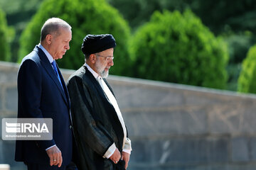 Erdogan accorded official reception in Tehran