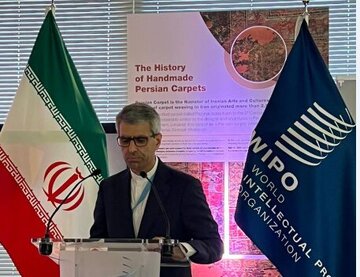 تاکید سفیر ایران بر اهتمام ایران نسبت به حمایت از حقوق مالکیت معنوی هنرمندان، طراحان و بافندگان